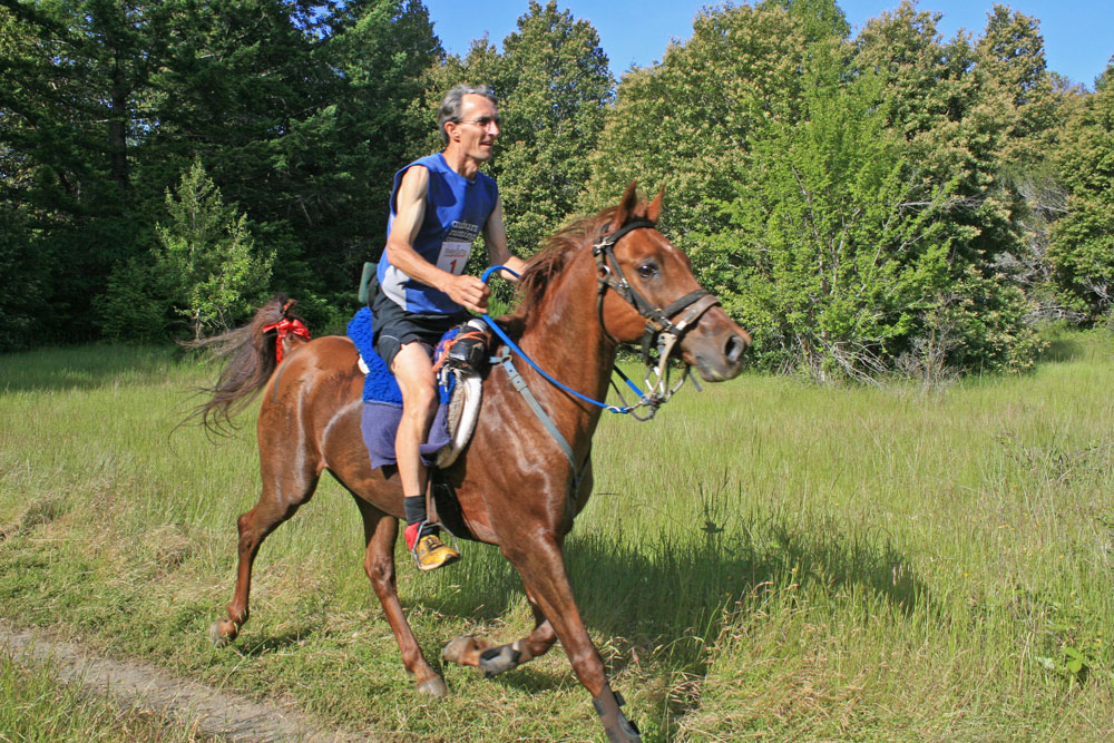 Image of a man riding a horse.