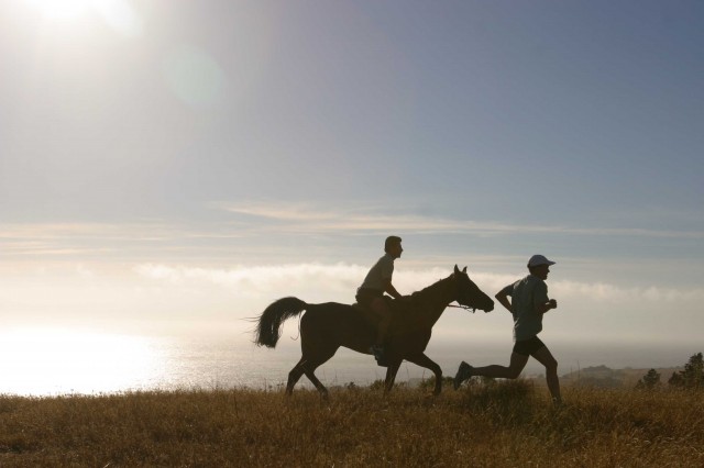 Image of a rider and runner.