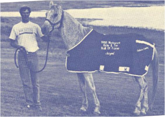 Image of Jazeel, a horse in the Hall of Fame.