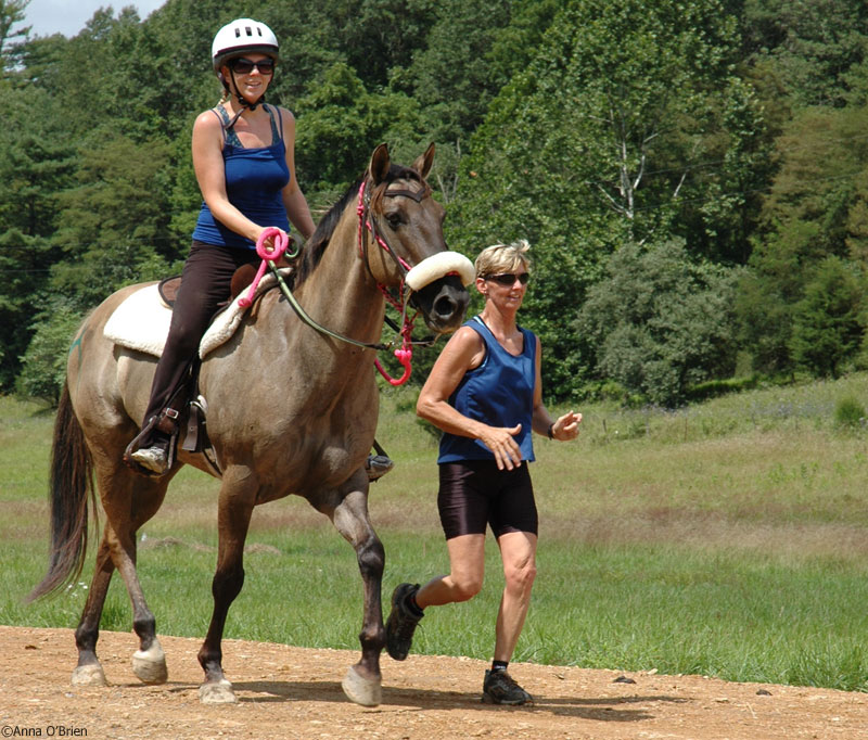 Image of a rider and runner.