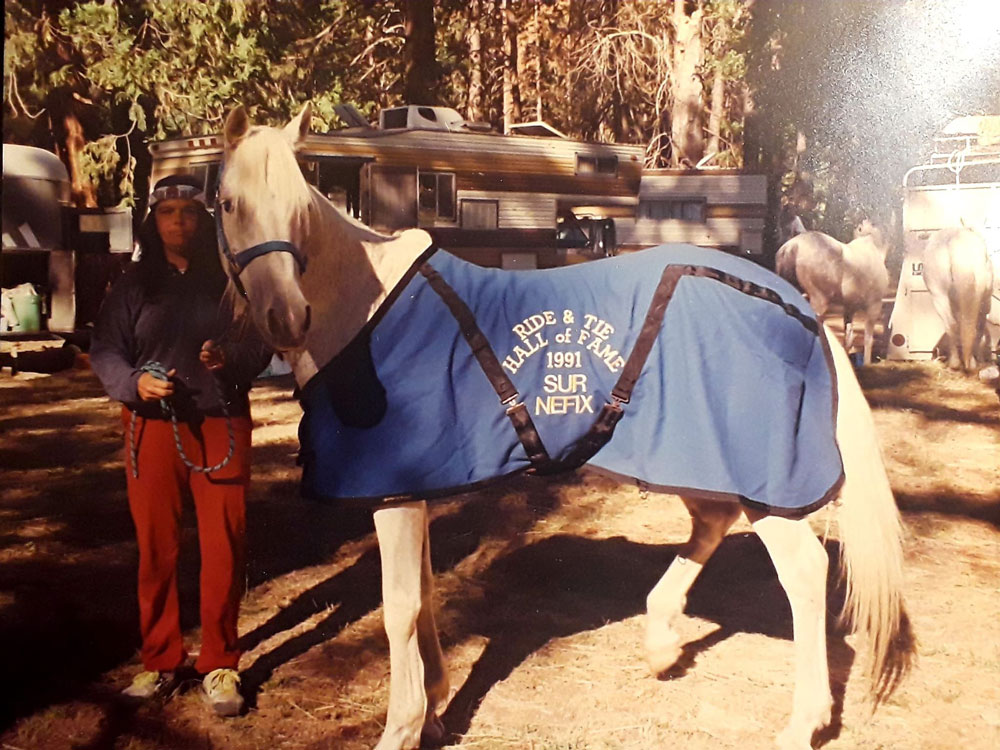 Photo of 1991 Ride & Tie Hall of Fame horse Sur Nefix