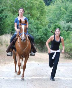 Image of a runner and a horse and rider.