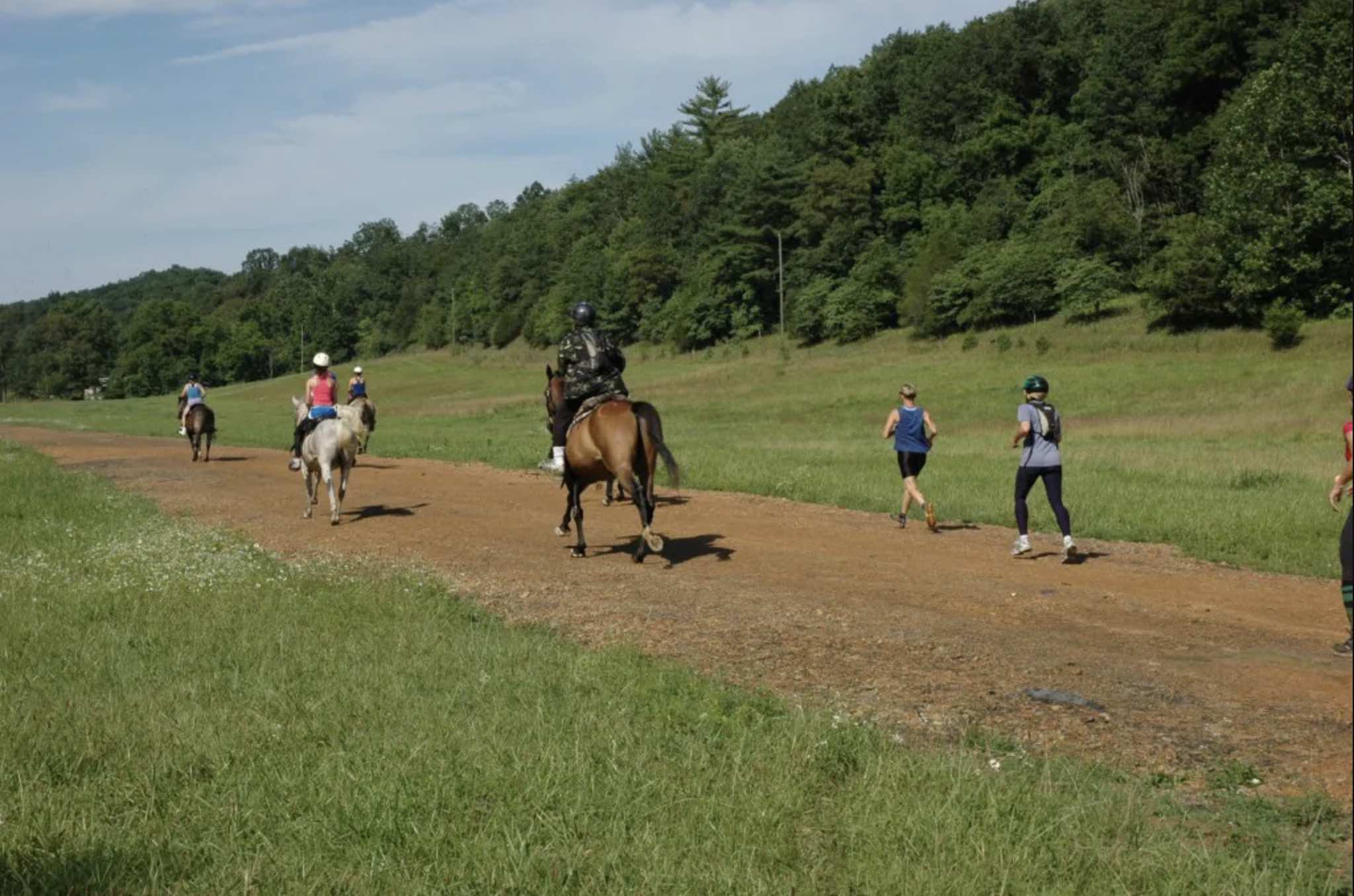 Image of a group of runners and riders.