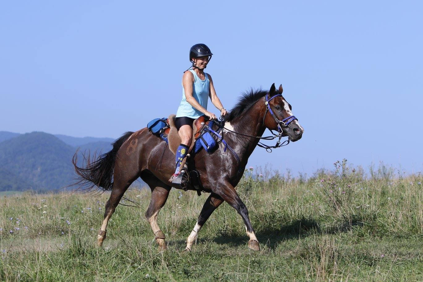 2025 Election RVenable Horse of Distinction 2022: Bubba