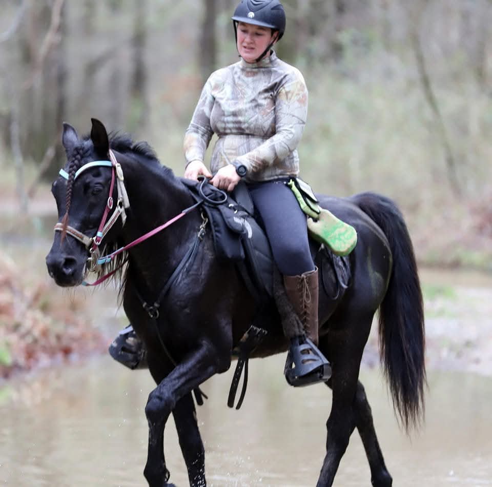 CShoemaker Horse of Distinction 2022: Bubba